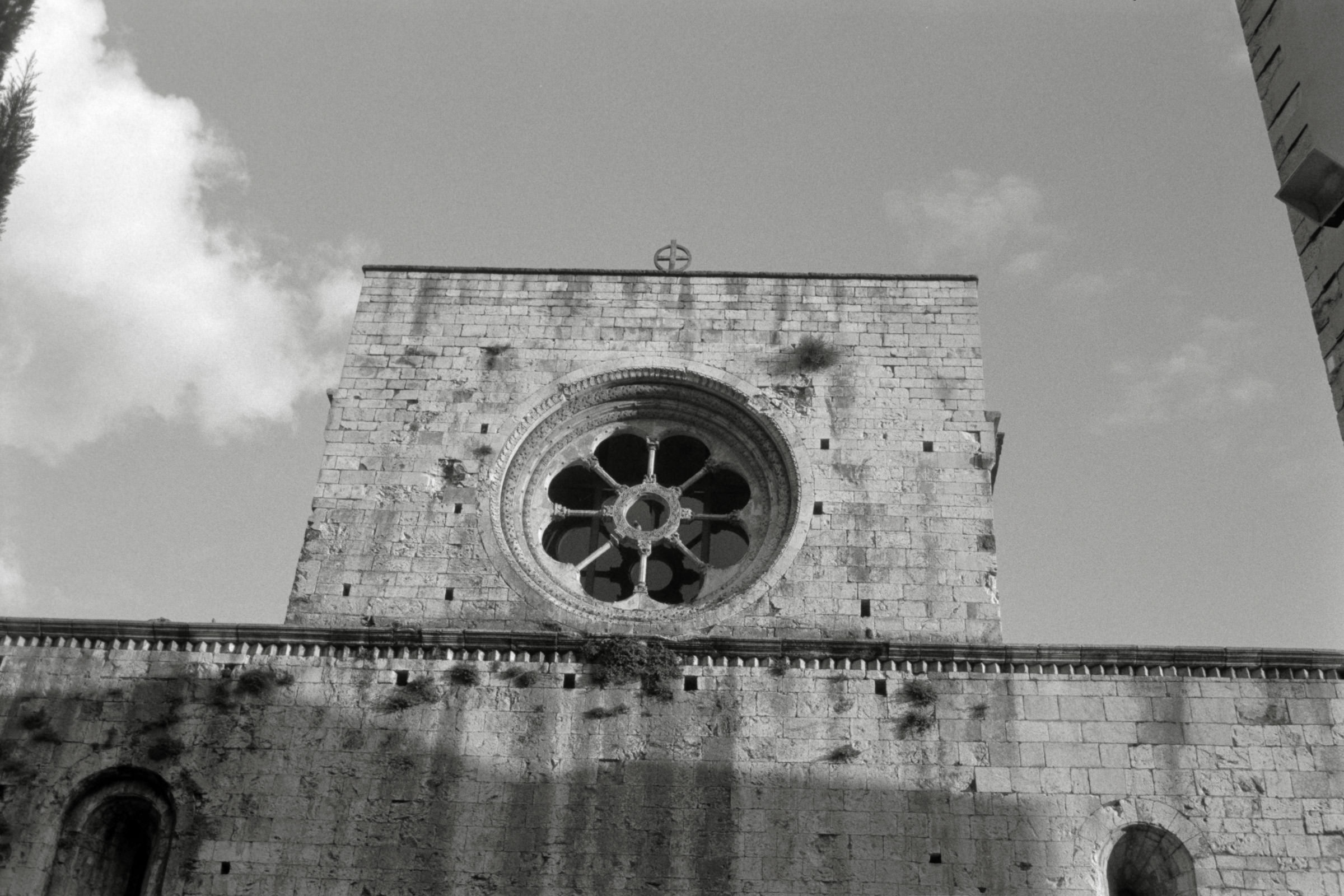 AHP F1996 02 001 sc240816 img32 NLP